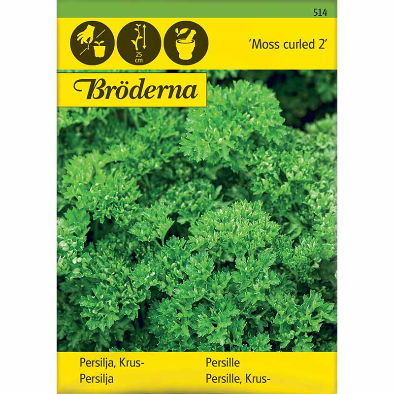 Bladpersille 'Moss curled 2'