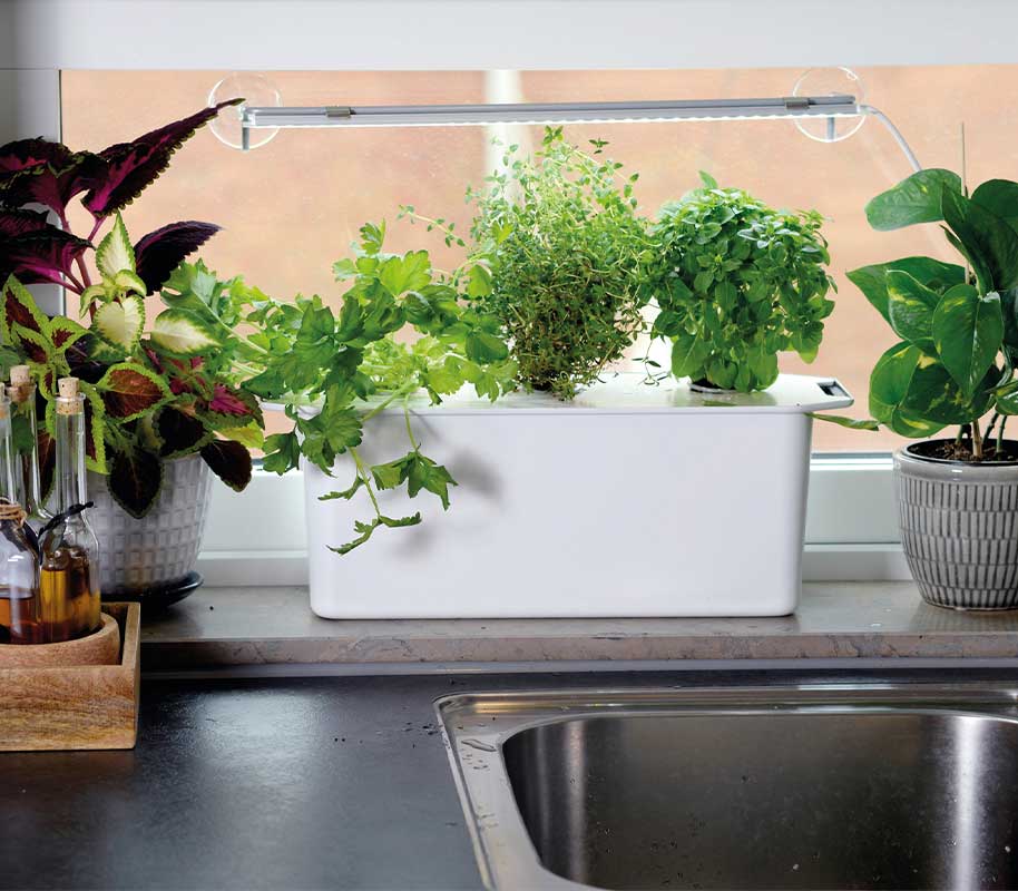 Hydroponisk dyrkning Harvy 3 hvid