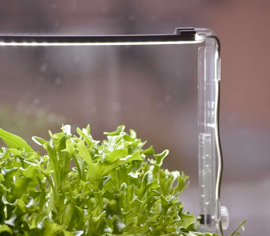 Holder til LED vækstlys til Harvy3