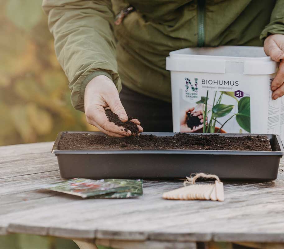 Dyrkningsbakke solid plug 23x37cm