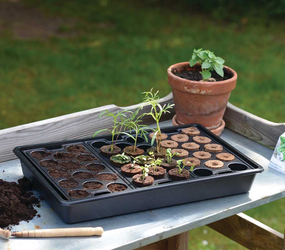 Dyrkningsbakke solid plug 23x37cm