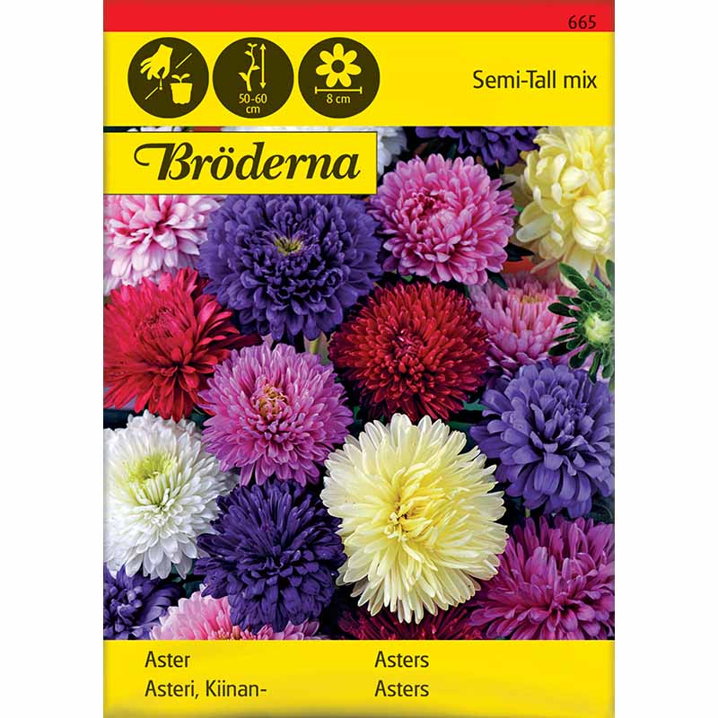 Dobbelt asters mix Økologisk