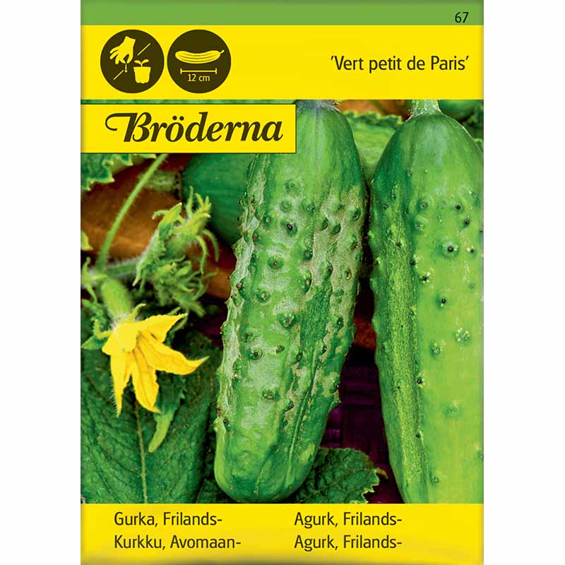 Frilandsgurk 'Vert petit de Paris'