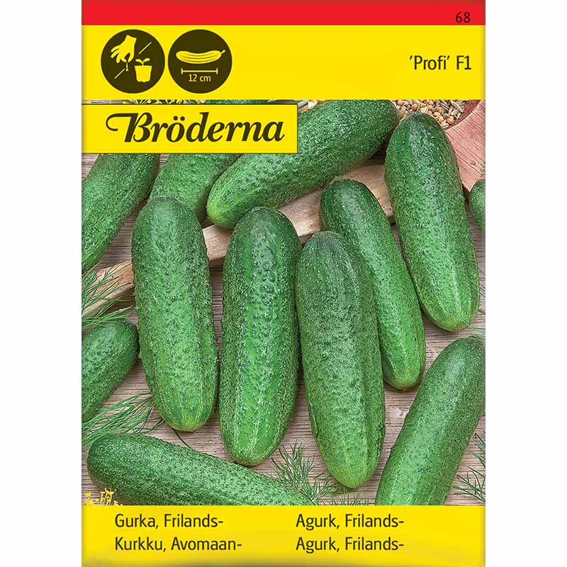 Frilandsgurk 'Profi' F1