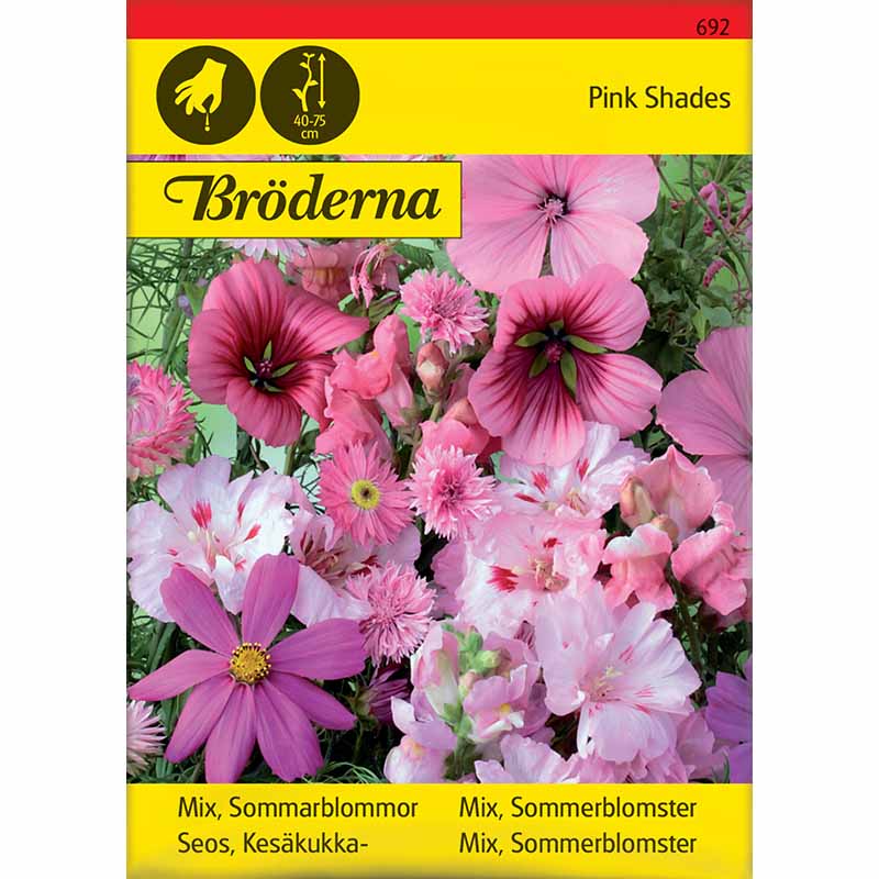 Sommerblomstblanding 'Pink Shades'