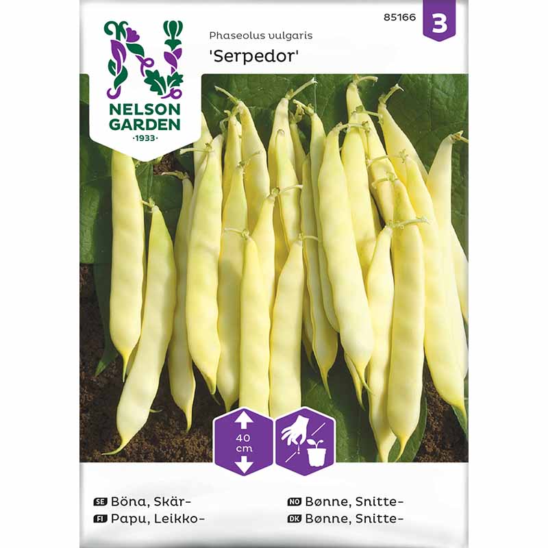 Snitbønne 'Serpedor'