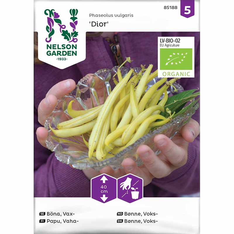 Voksbønne 'Dior' økologisk