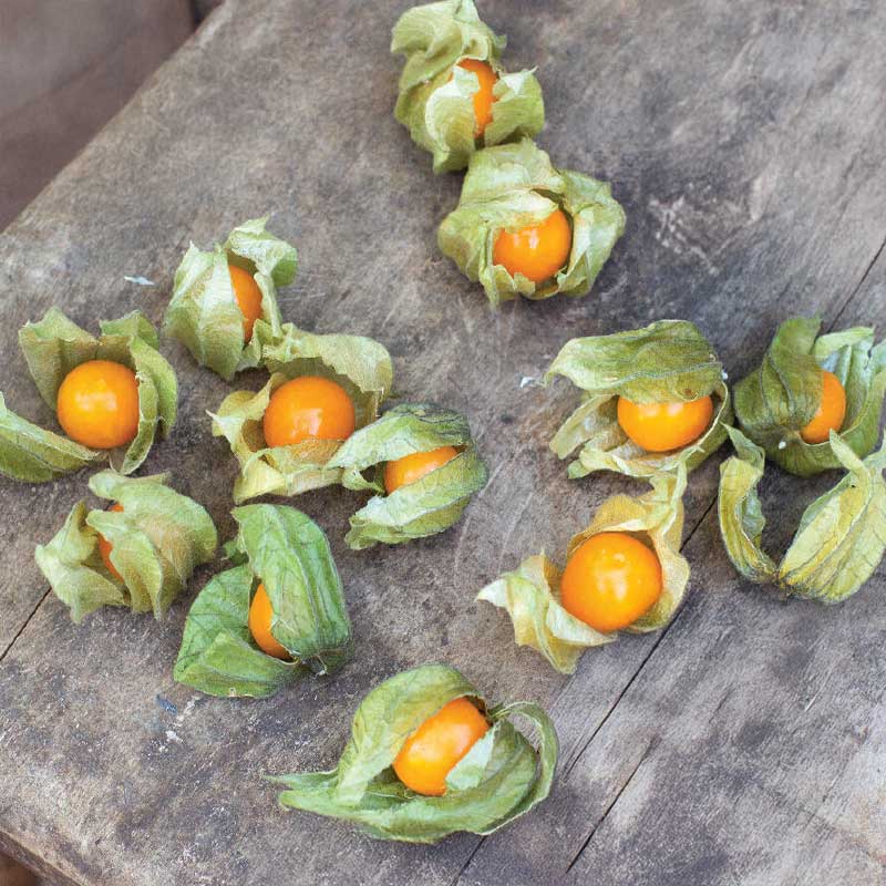 Cape Gooseberry Organic