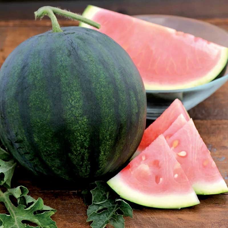 Vandmelon 'Suger baby'