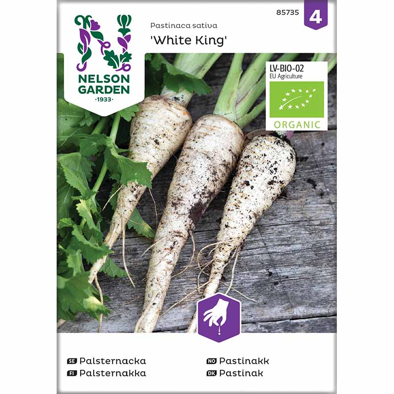Parsnip 'White King' Organic