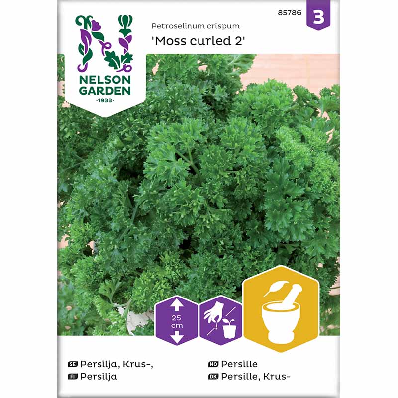 Persille 'Moss Curled 2'