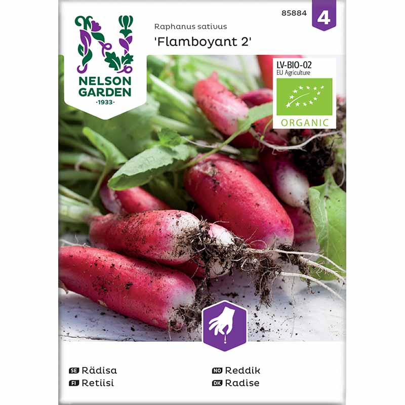 Radise 'Flamboyant 2'