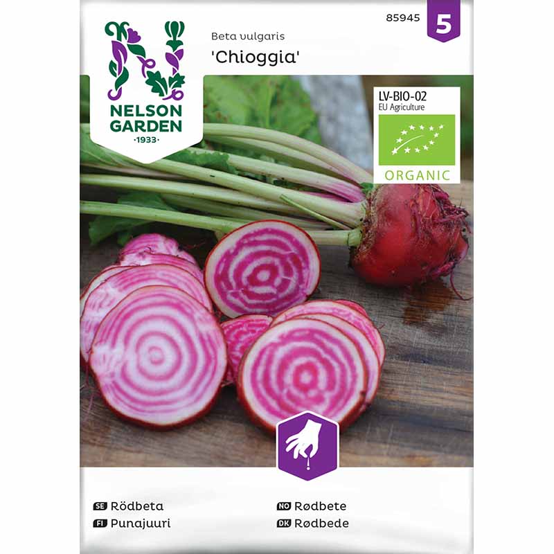 Rødbede 'Chioggia' Økologisk