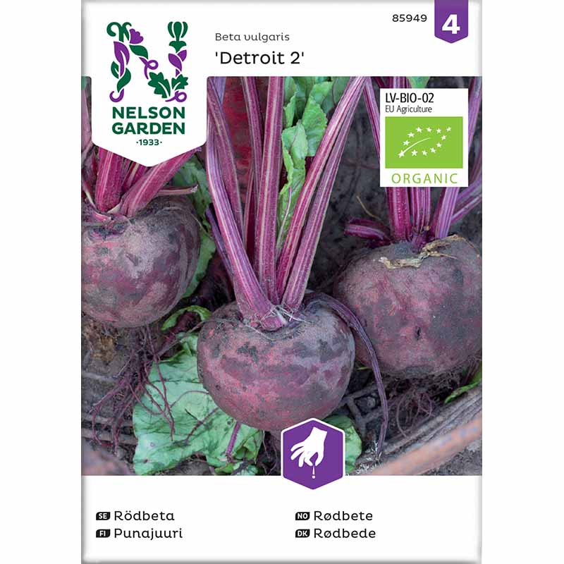 Rødbede 'Detroit 2' Økologisk