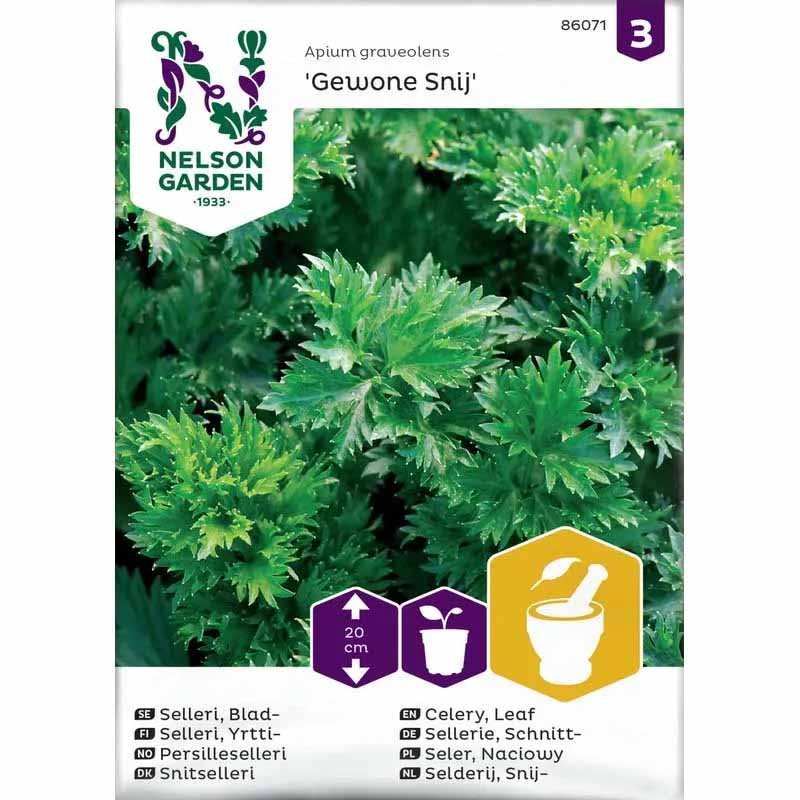 Bladselleri 'Gewone Snij'