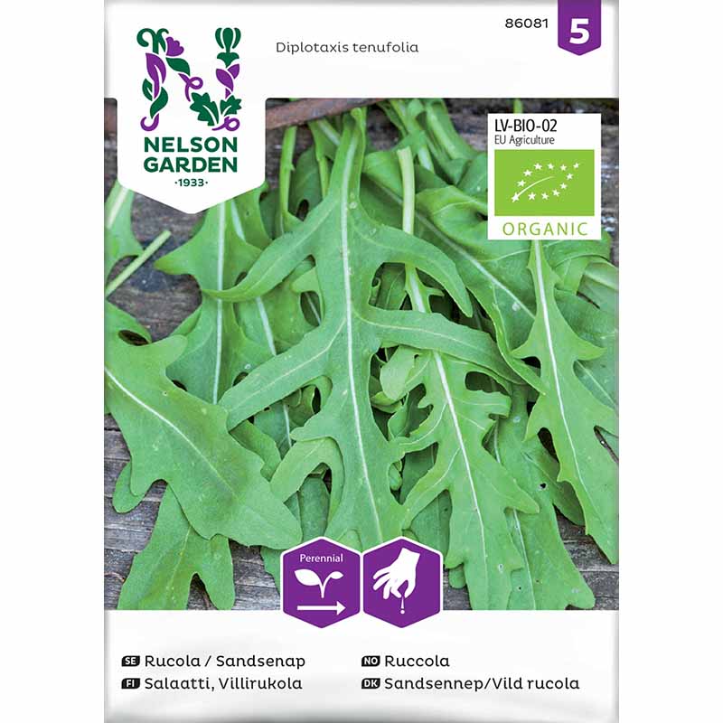 Rucola / Sandkarse Økologisk