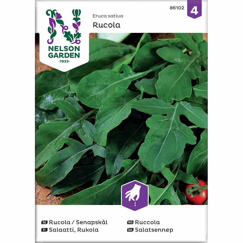 Rucola / Sennepskål