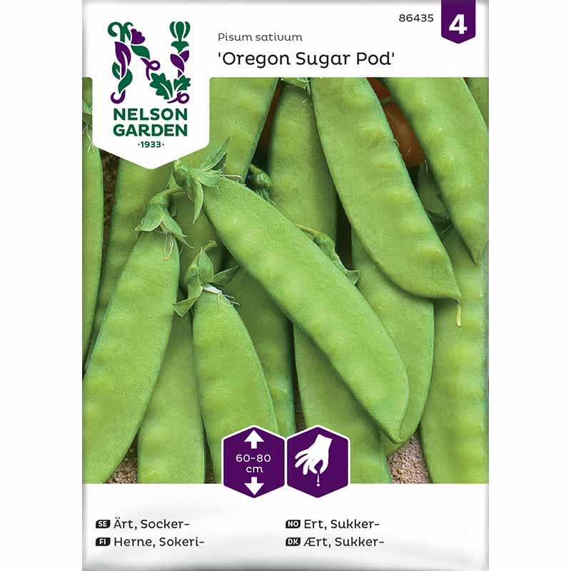 Sukkerært 'Oregon Sugar Pod'