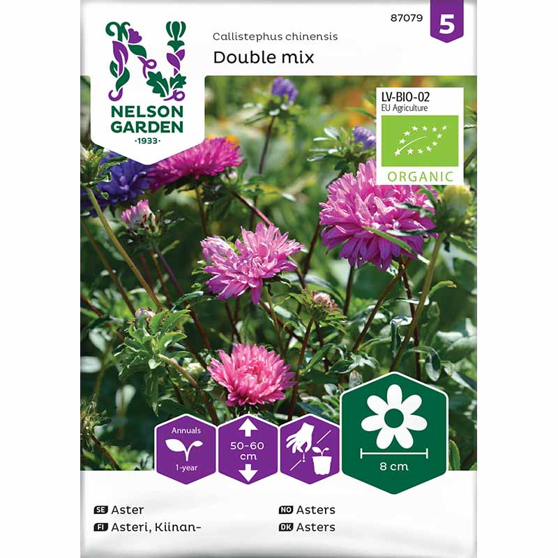 Dobbelt Asters mix Økologisk