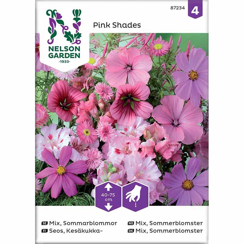 Sommerblomster 'Pink Shades'
