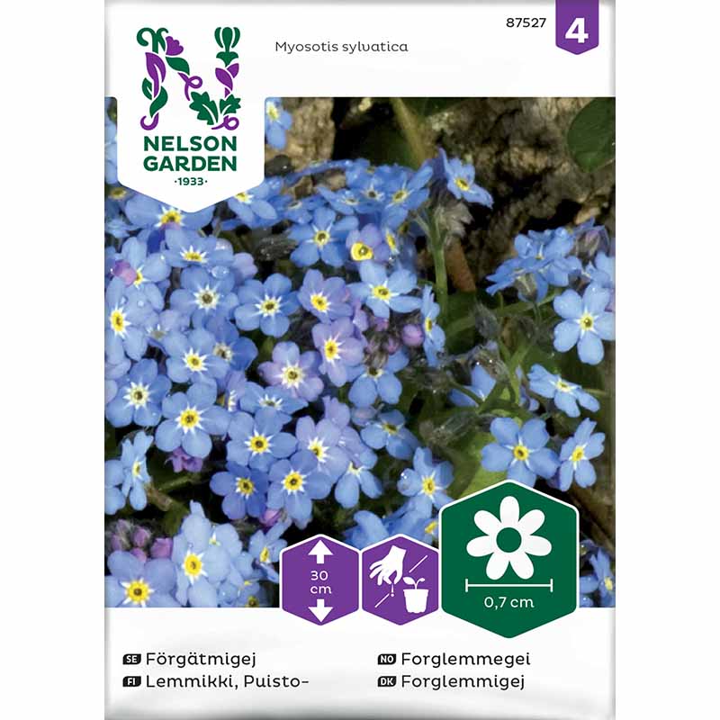 Forglemmigej blå