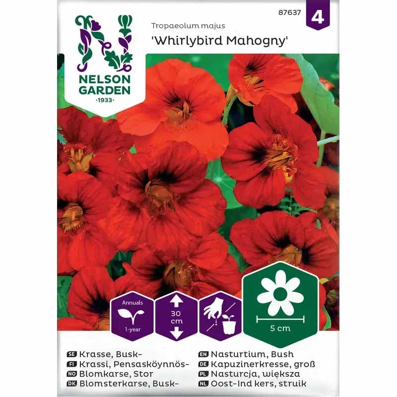 Busknasturt 'Whirlybird Mahogni'