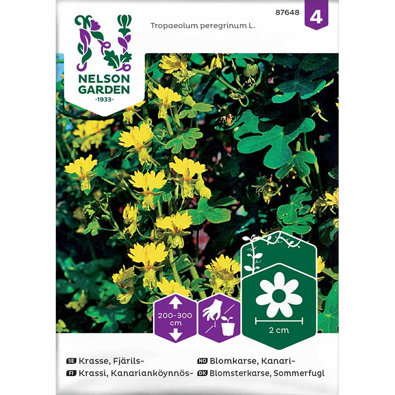 Sommerfuglekarse gul