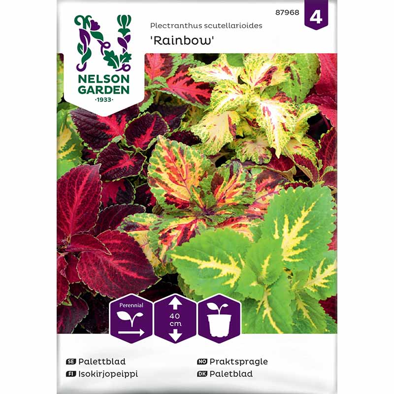 Paletblad 'Rainbow'