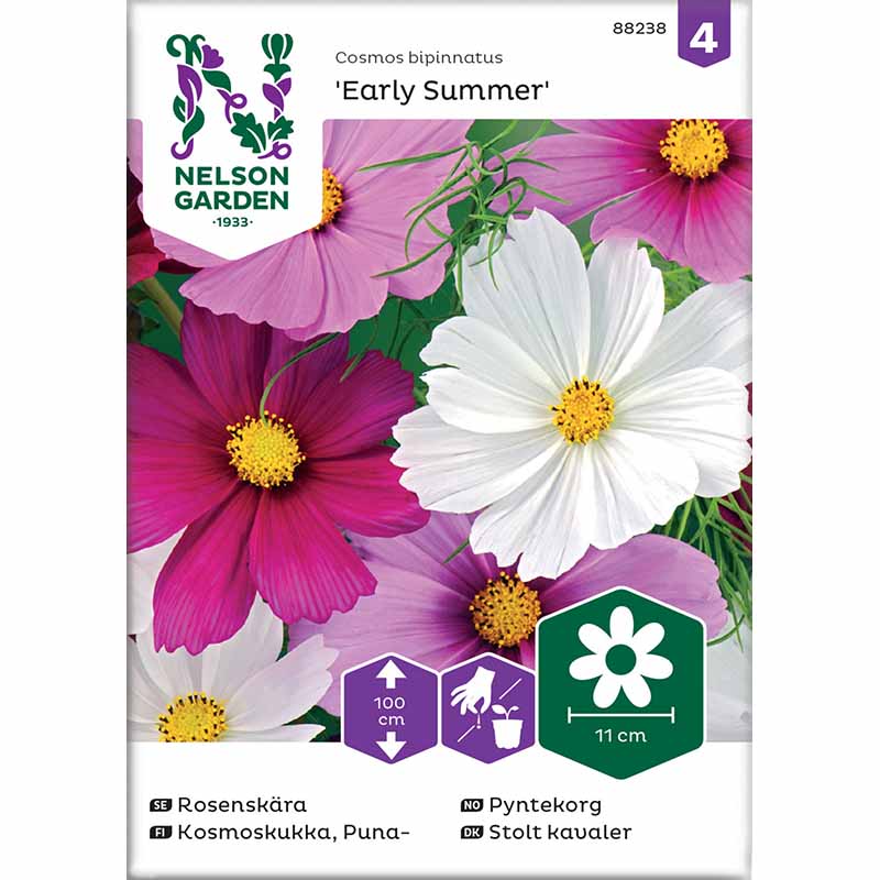 Kosmos 'Early Summer' mix