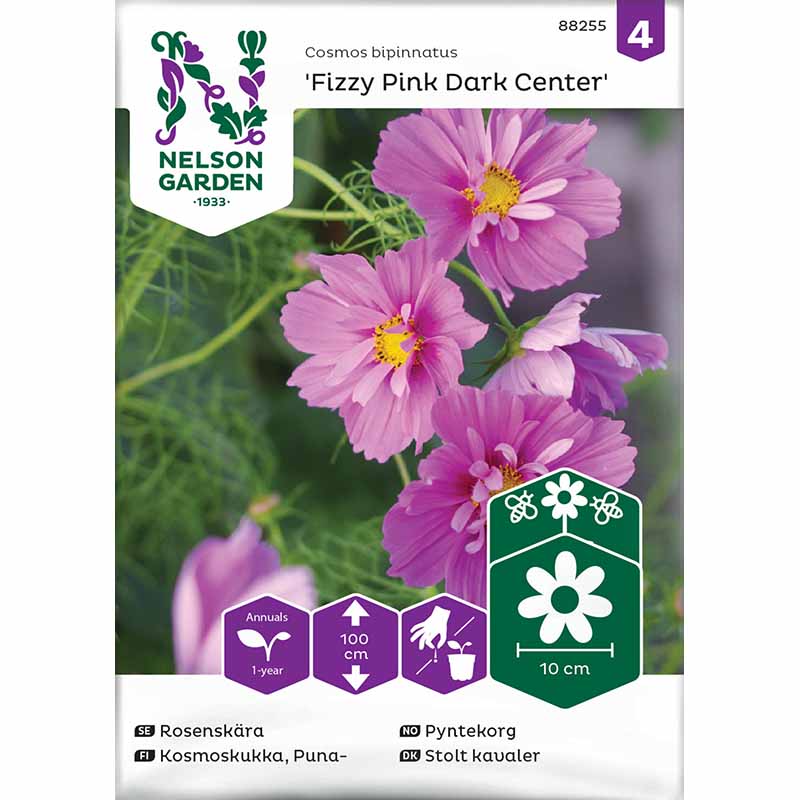 Smykkekosmos 'Fizzy Pink Dark Center'