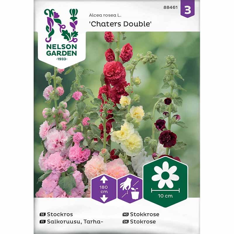 Stokrose 'Charters dubbel'