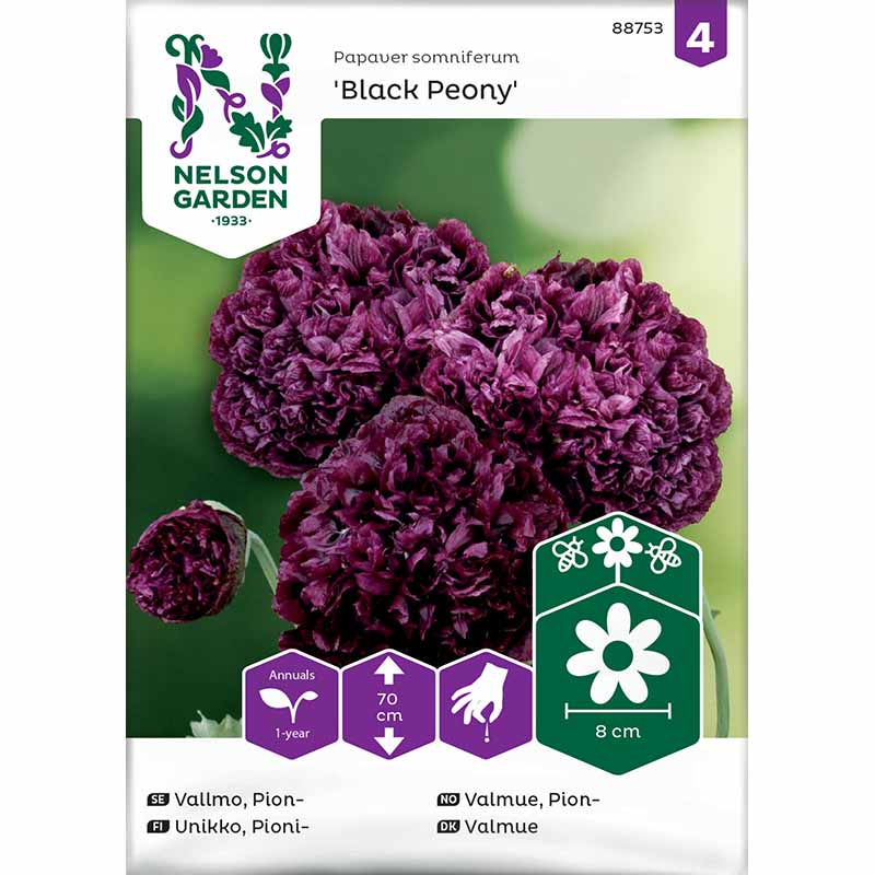 Pæonvalmue 'Black Poeny'