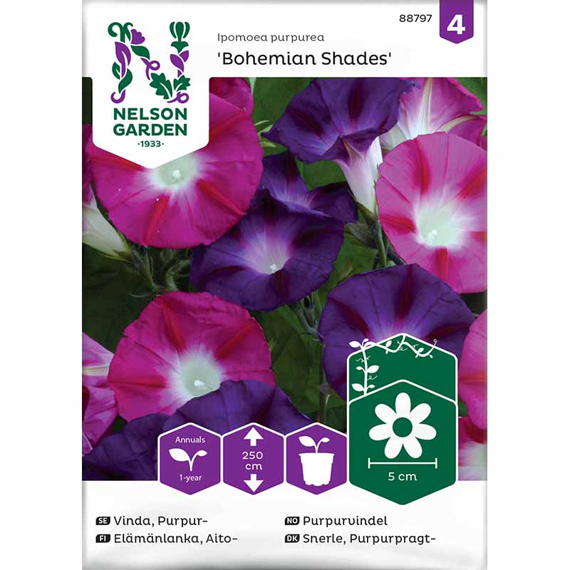 Pragtsnerle 'Bohemian Shades'