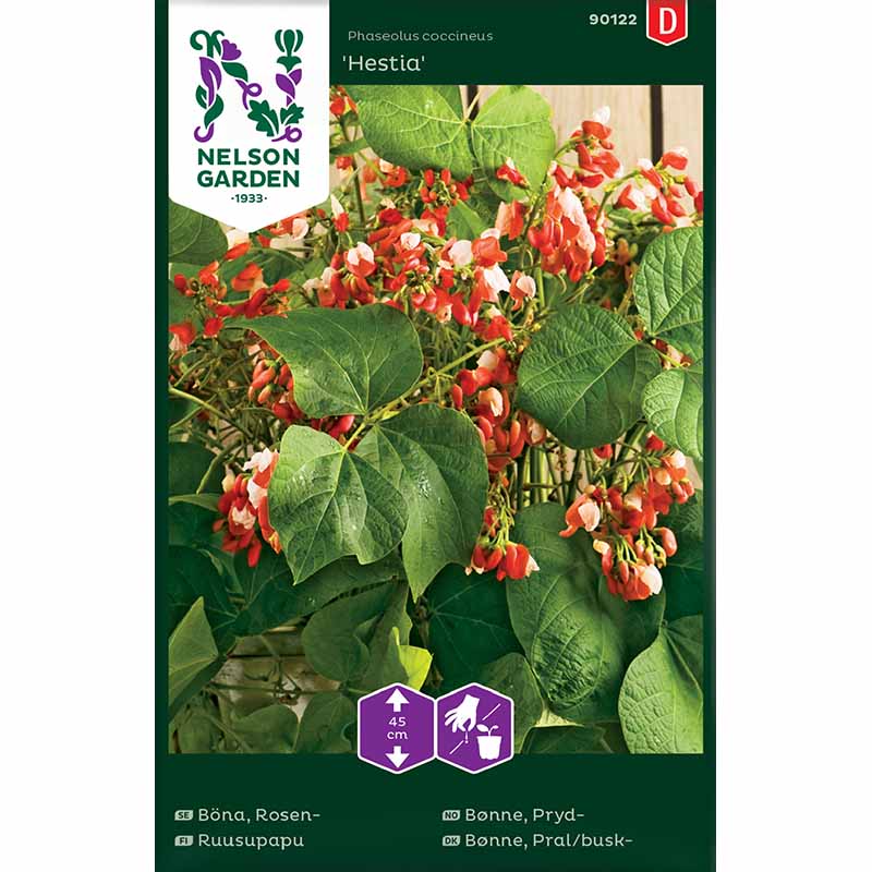 Blomsterbønne 'Hestia' / Blomsterbønne