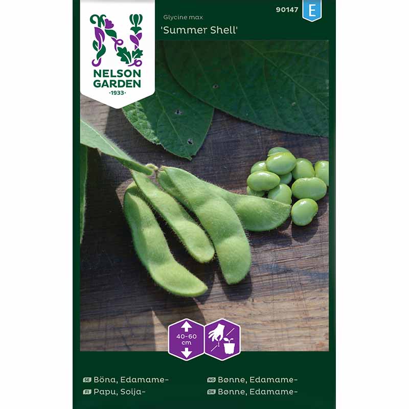 Edamame Bønne 'Summer Shell'