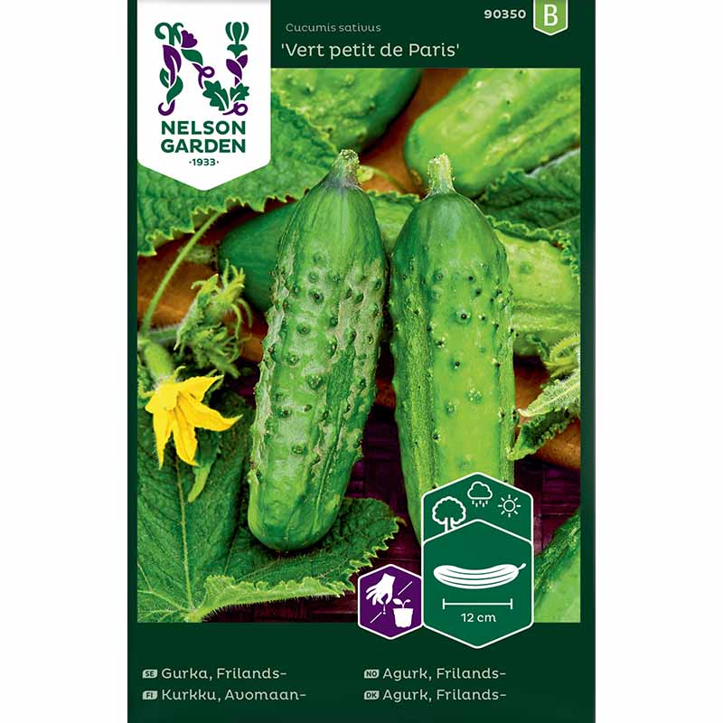 Drueagurk 'Vert petit de Paris'