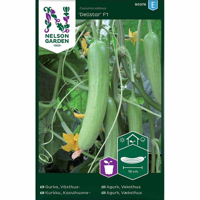 Drivhusagurk 'Delistar' F1