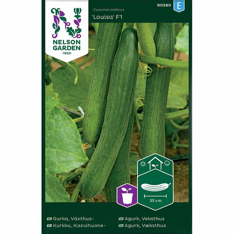 Slangeagurk 'Louisa'F1