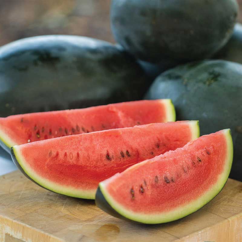 Vandmelon 'Little Darling' F1