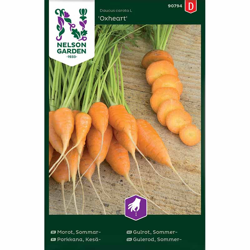 Sommergulerod 'Oxheart'