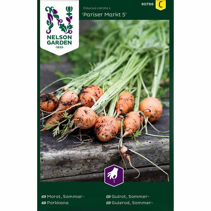 Summer Carrot ´Pariser Markt´