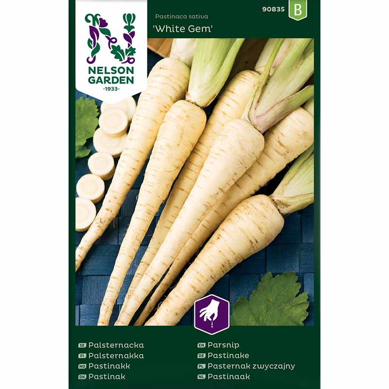 Pastinak 'White Gem'