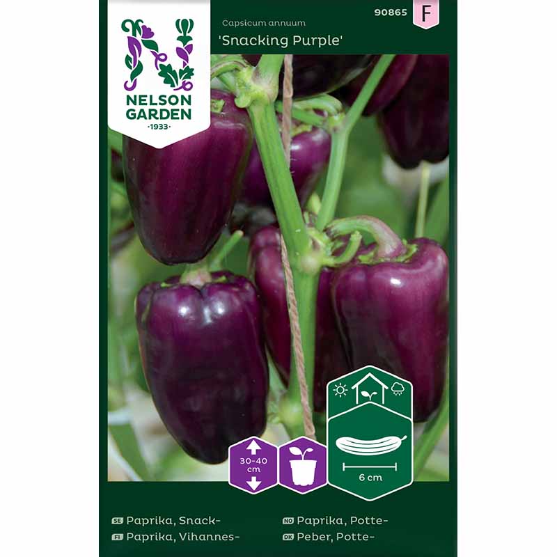 Snackpeber 'Snacking Purple'