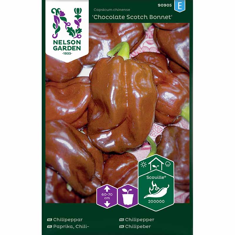 Chilipeber 'Chocolate Scotch Bonnet'