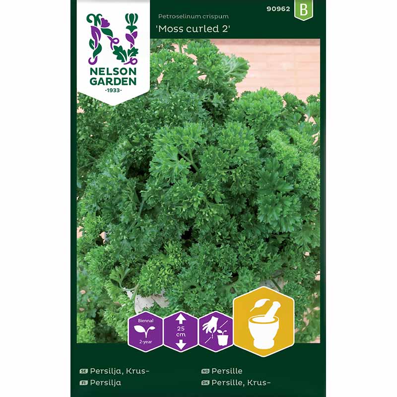 Bladpersille 'Moss curled 2'