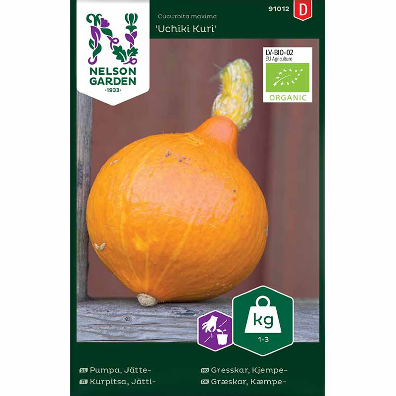 J ättepumpa 'Uchiki Kuri'