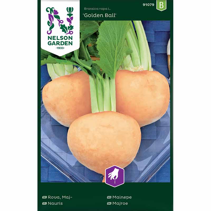 Majroe 'Golden Ball'