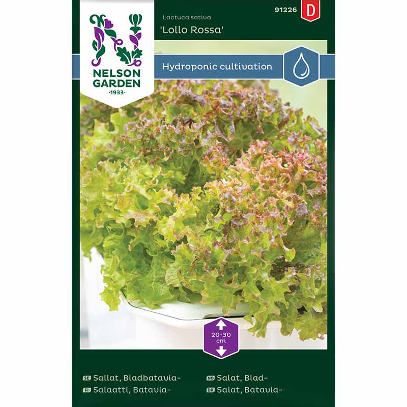 Bataviasalat 'Lollo Rossa' - Harvy