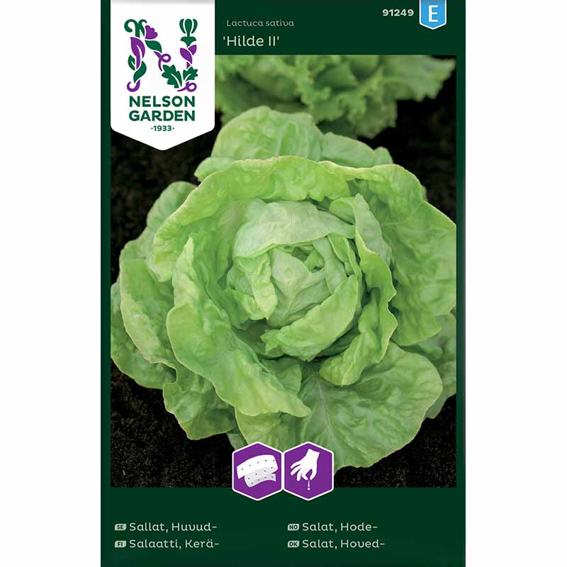 Hovedsalat Hilde II
