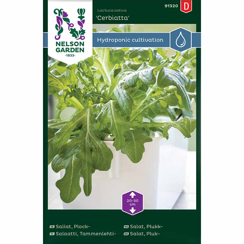 Pluksalat 'Cerbiatta' - Harvy